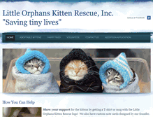 Tablet Screenshot of orphankittens.org